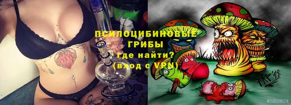 марки nbome Вяземский