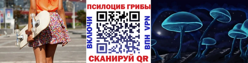 закладка  shop телеграм  Псилоцибиновые грибы Psilocybine cubensis  Брюховецкая 