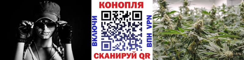 Каннабис Ganja  закладки  Брюховецкая 